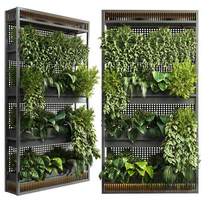现代绿植盆栽植物架